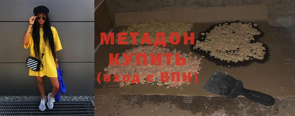 прущие грибы Краснотурьинск