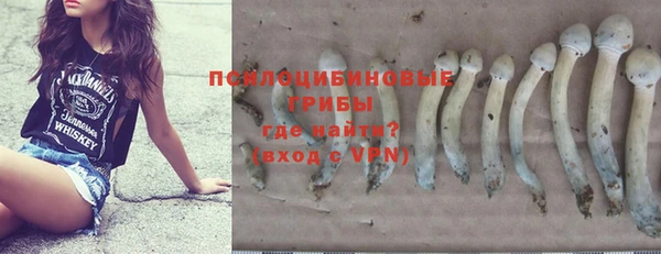 а пвп мука Богданович