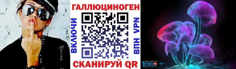 Галлюциногенные грибы Psilocybine cubensis  Ленинск 